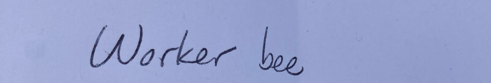 Hand written note, truncated.